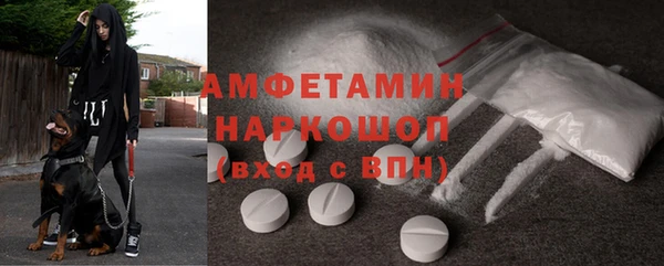 ГАЛЛЮЦИНОГЕННЫЕ ГРИБЫ Аркадак