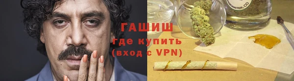 ГАЛЛЮЦИНОГЕННЫЕ ГРИБЫ Аркадак