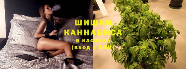 спиды Арсеньев
