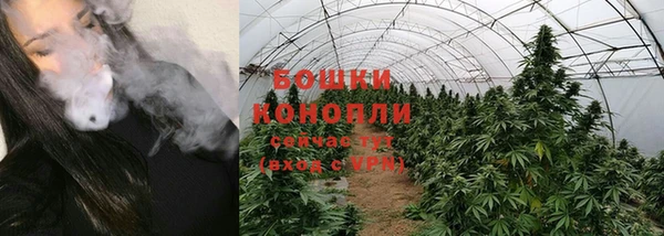 ГАЛЛЮЦИНОГЕННЫЕ ГРИБЫ Аркадак