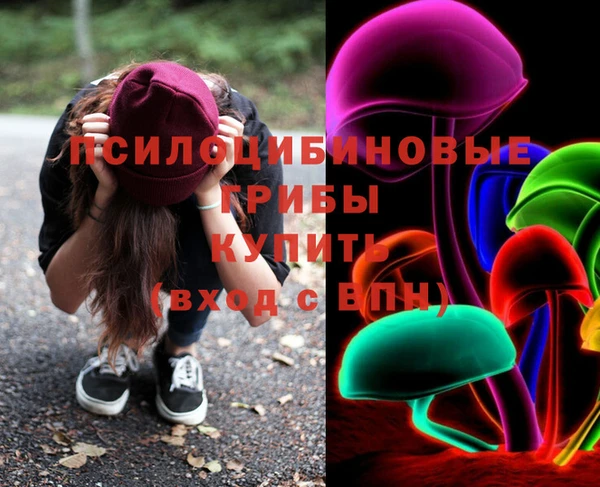 ГАЛЛЮЦИНОГЕННЫЕ ГРИБЫ Аркадак